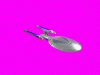 temp.gif