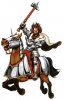 soldier_knights_white_wolf.jpg.jpeg