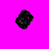 borgqueenshipdefault.gif