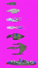 sizes.gif