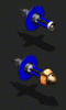 probe.gif