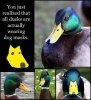 duckdogmask.jpeg