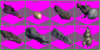 VNG.png