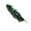 Medeira.png