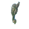 SantaCruz.png