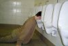 hangover_zpsafd329bc.jpg