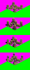 amerwall.png