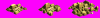 anc.gif