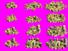 romeprev.gif