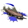 phaseshipxl.gif