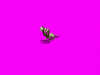 hydra5.gif
