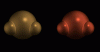 brcu.gif