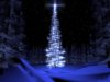 kerstboom.jpg