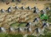 And back to Mongolian.jpg