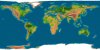 EemianEarth~130,000 ~114,00 ya.jpg