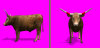LonghornCivColor.png