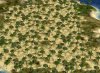 savanna.jpg