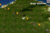 textures1.jpg