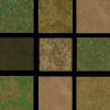 amazonterrains.jpg