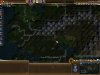 great forest.jpg
