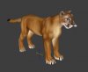 puma.jpg