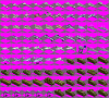 Snargliebleargh.png