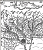 MorindimMap.png