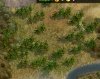 Cinnamon.jpg