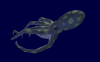 KrakenIdle.png