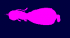 11.png
