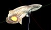 Leviathan.jpg