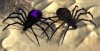 Spider_Skins_Pu_Br.jpg