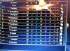 culture bug on060114.JPG
