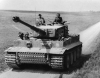 tigercolorize.png
