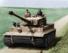 completedtigercolorize.png