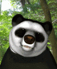 panda_happy.gif