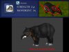 unwrappedtapir.jpg