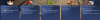 WiG_31.png
