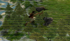 vivaSPQR_73.png