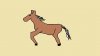 horse.jpg