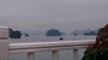 DSC_0056.jpg