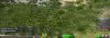 swamp.jpg