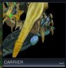 Capture3.JPG