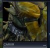 Capture4.JPG