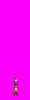 v2.gif