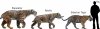 smilodonsvtiger.jpg