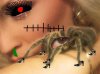 killer tarantula.jpg