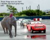 originalsuv.jpg