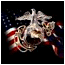 marine3.gif