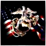 marine4.gif